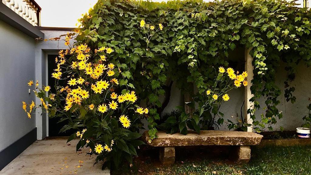 فيلا Casa As Dez أنغرا دو إِراويزو المظهر الخارجي الصورة